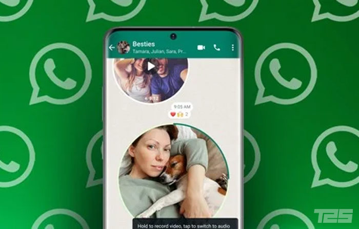 WhatsApp terá novo recurso para gravar mensagens de vídeos curtos com até 1 minuto de duração