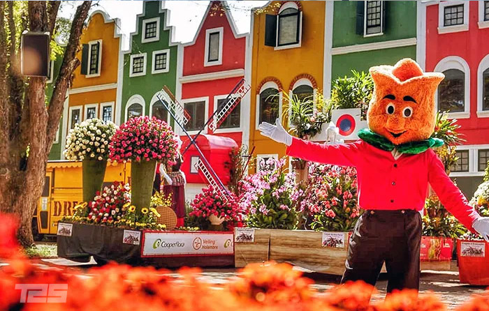 Expoflora 2023 se prepara para receber turistas de todo o Brasil e de outros países em Holambra