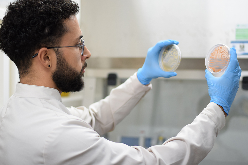 Substância promissora contra câncer já pode ser testada em animais – graças a nanopartículas substancia-promissora-contra-cancer-ja-pode-ser-testada-em-animais-–-gracas-a-nanoparticulas